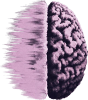 Neuro Charisma